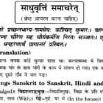 NCERT Solutions for Class 10th Sanskrit Chapter 6 साधुवृत्ति समाचरेत् 1