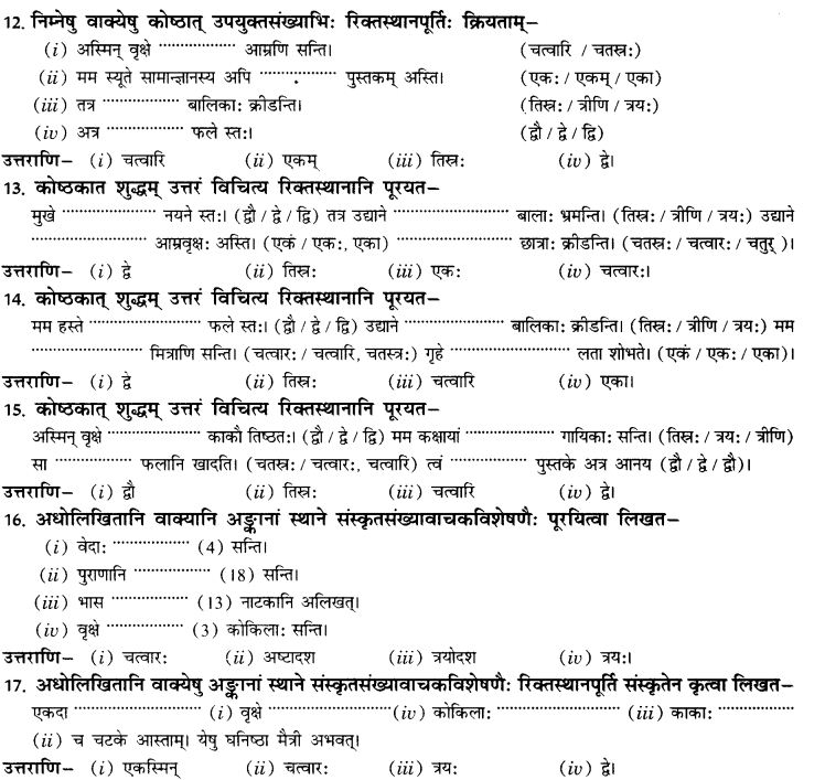 NCERT Solutions for Class 10th Sanskrit Chapter 7 Sadakhya 10