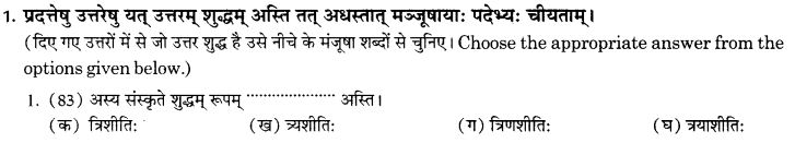 NCERT Solutions for Class 10th Sanskrit Chapter 7 Sadakhya 11