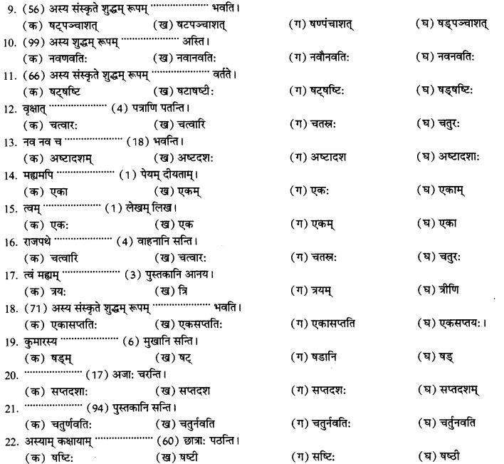NCERT Solutions for Class 10th Sanskrit Chapter 7 Sadakhya 13