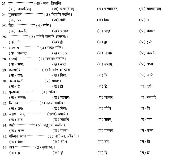 NCERT Solutions for Class 10th Sanskrit Chapter 7 Sadakhya 14
