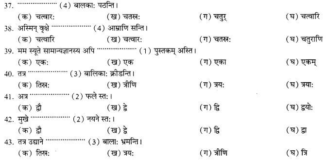 NCERT Solutions for Class 10th Sanskrit Chapter 7 Sadakhya 15