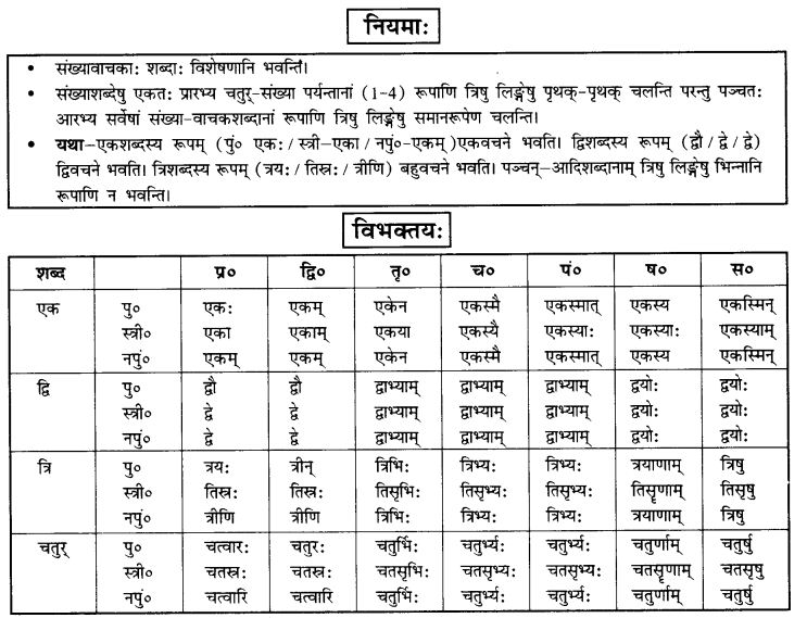 NCERT Solutions for Class 10th Sanskrit Chapter 7 Sadakhya 2
