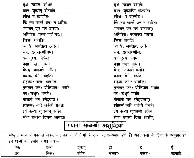 NCERT Solutions for Class 10th Sanskrit Chapter 8 Vachana Lingam Purusha Lakaara Dusya Samsheedhanam 3