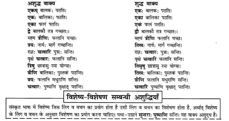NCERT Solutions for Class 10th Sanskrit Chapter 8 Vachana Lingam Purusha Lakaara Dusya Samsheedhanam 4