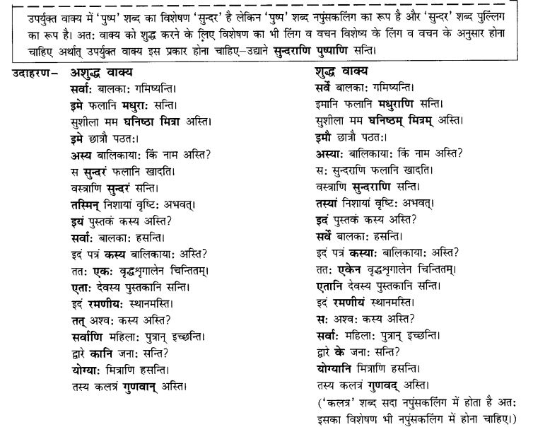 NCERT Solutions for Class 10th Sanskrit Chapter 8 Vachana Lingam Purusha Lakaara Dusya Samsheedhanam 5