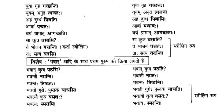NCERT Solutions for Class 10th Sanskrit Chapter 8 Vachana Lingam Purusha Lakaara Dusya Samsheedhanam 7