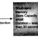 NCERT Solutions for Class 11 Psychology Chapter 7 Human Memory Q2
