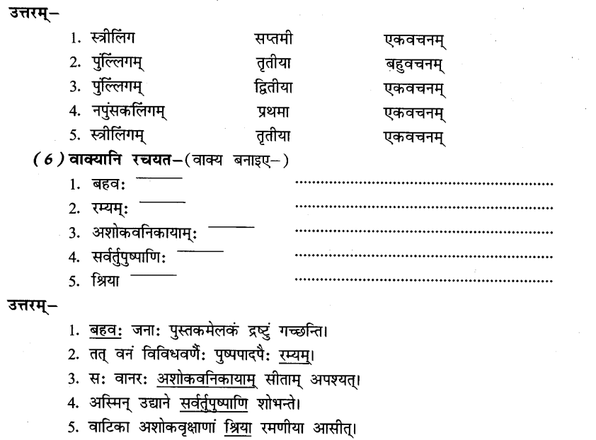 NCERT Solutions for Class 8th Sanskrit Chapter 10 अशोकवनिका 10