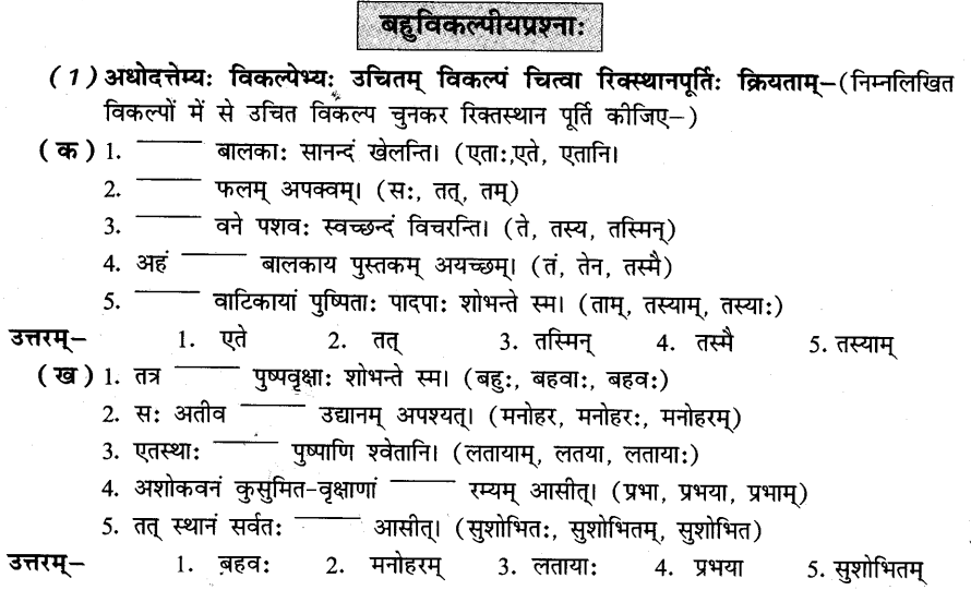 NCERT Solutions for Class 8th Sanskrit Chapter 10 अशोकवनिका 11