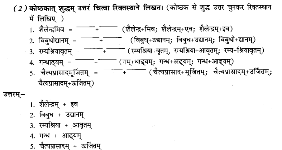 NCERT Solutions for Class 8th Sanskrit Chapter 10 अशोकवनिका 12