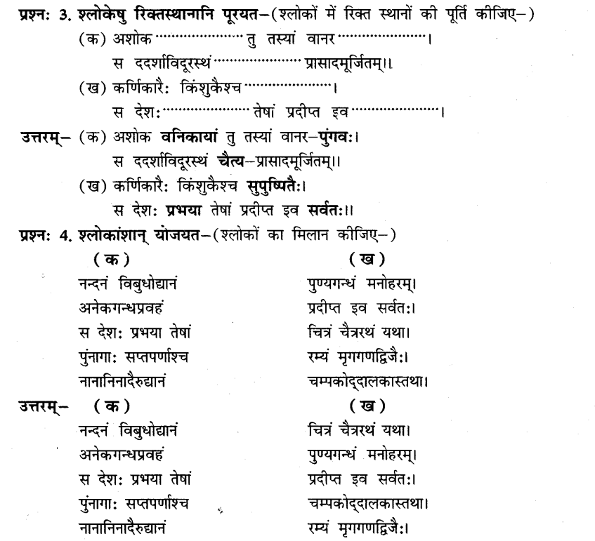 NCERT Solutions for Class 8th Sanskrit Chapter 10 अशोकवनिका 2