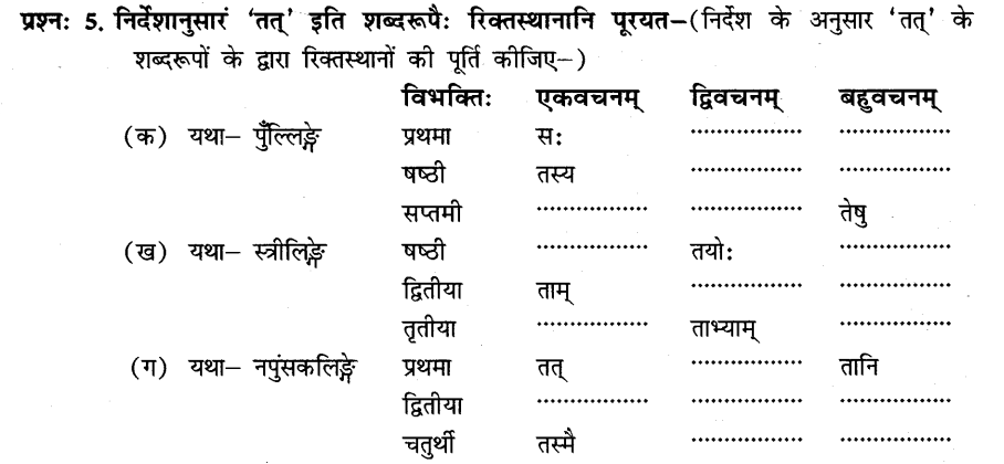 NCERT Solutions for Class 8th Sanskrit Chapter 10 अशोकवनिका 3