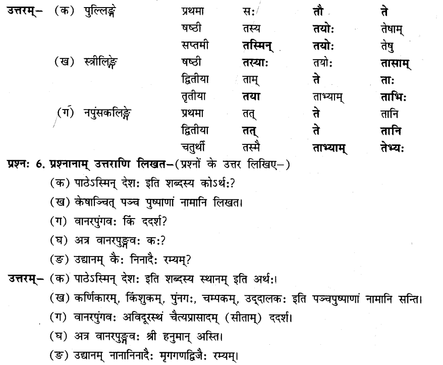 NCERT Solutions for Class 8th Sanskrit Chapter 10 अशोकवनिका 4