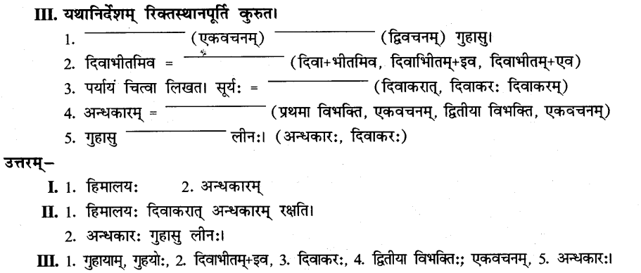 NCERT Solutions for Class 8th Sanskrit Chapter 13 हिमालयः 10