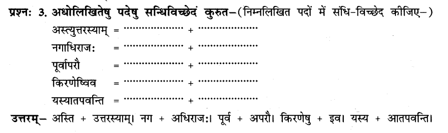 NCERT Solutions for Class 8th Sanskrit Chapter 13 हिमालयः 2