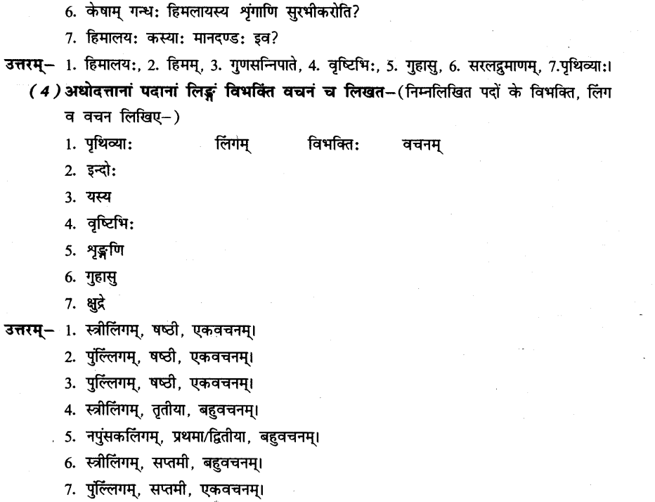 NCERT Solutions for Class 8th Sanskrit Chapter 13 हिमालयः 7