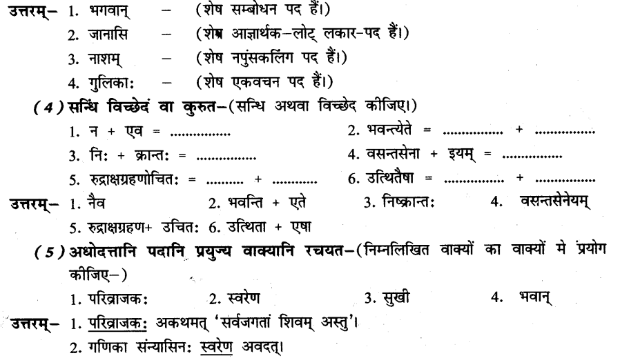 NCERT Solutions for Class 8th Sanskrit Chapter 3 भगवदज्जुकम्र 10