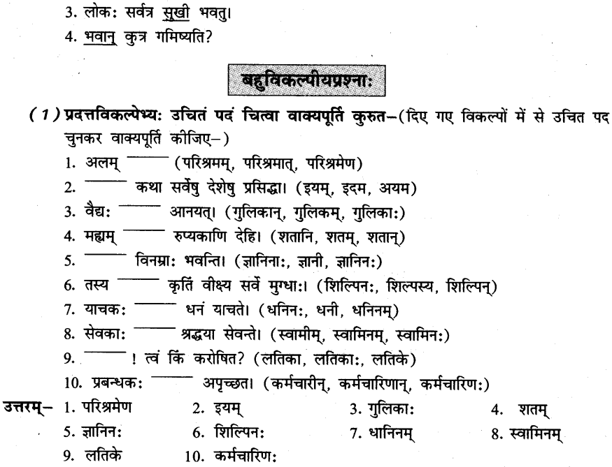 NCERT Solutions for Class 8th Sanskrit Chapter 3 भगवदज्जुकम्र 11