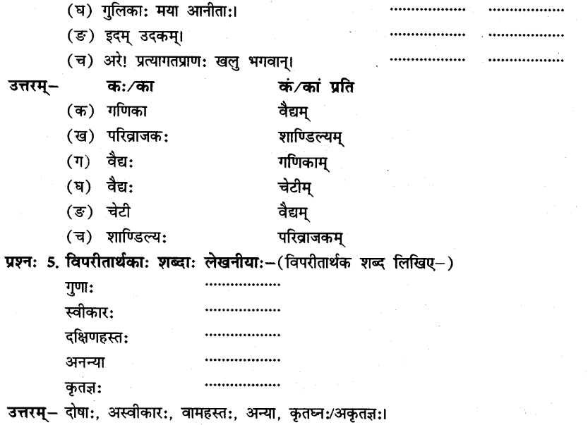 NCERT Solutions for Class 8th Sanskrit Chapter 3 भगवदज्जुकम्र 3