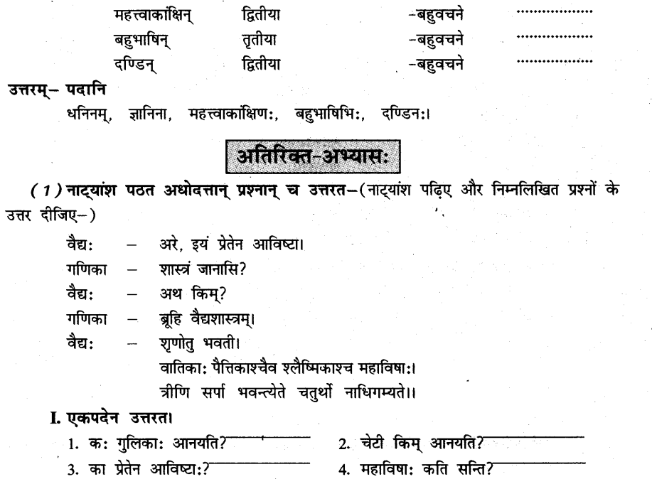 NCERT Solutions for Class 8th Sanskrit Chapter 3 भगवदज्जुकम्र 5