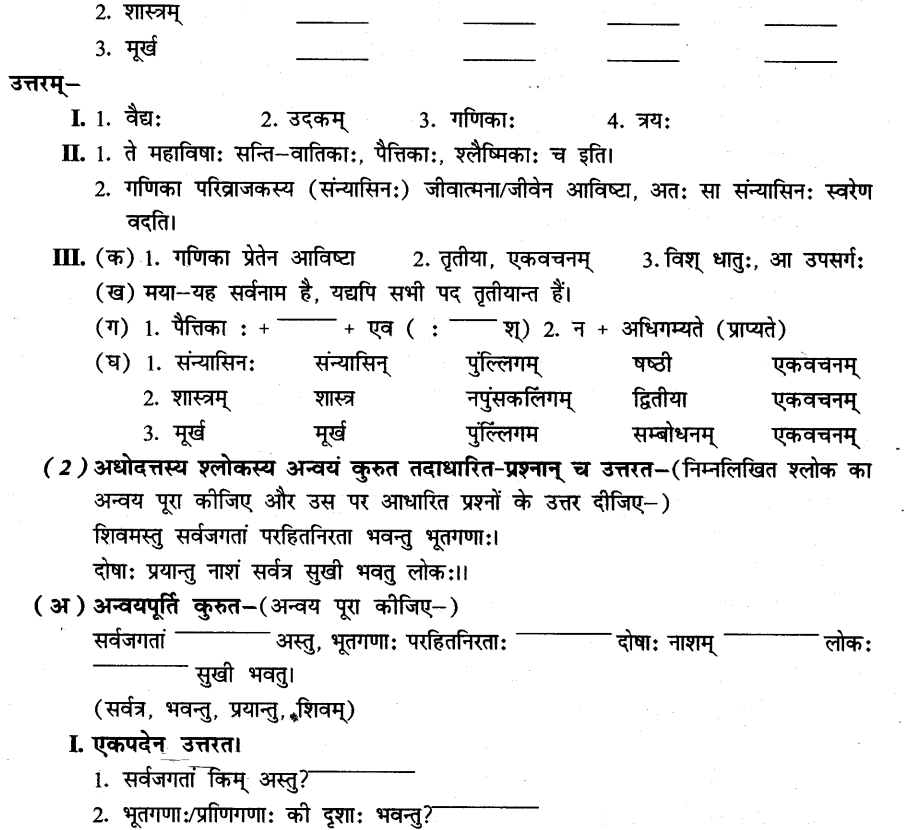 NCERT Solutions for Class 8th Sanskrit Chapter 3 भगवदज्जुकम्र 7