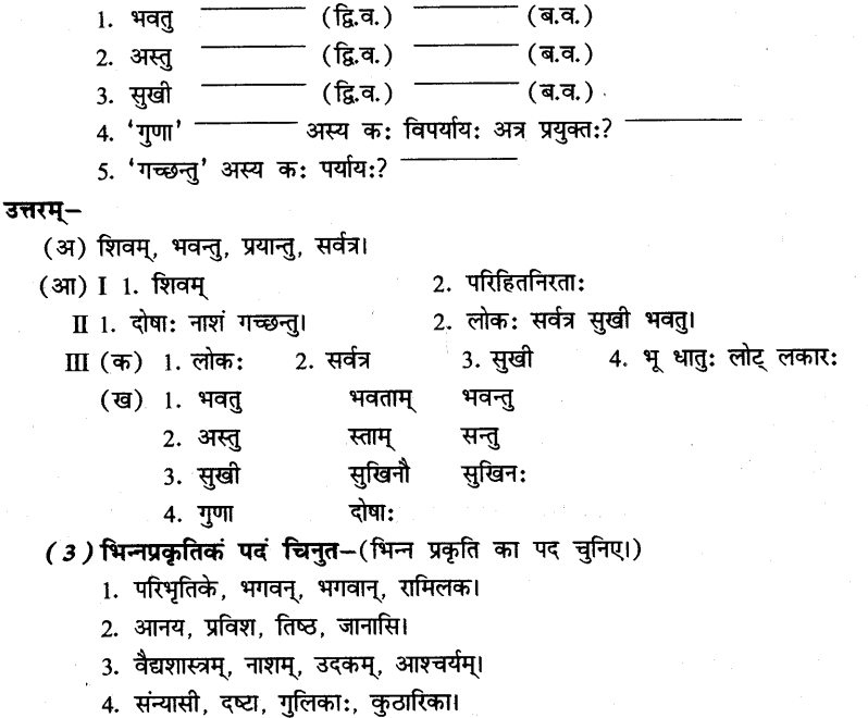NCERT Solutions for Class 8th Sanskrit Chapter 3 भगवदज्जुकम्र 9