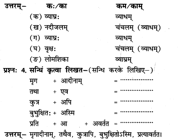 NCERT Solutions for Class 8th Sanskrit Chapter 5 धर्मे धमनं पापे पुण्यम 3
