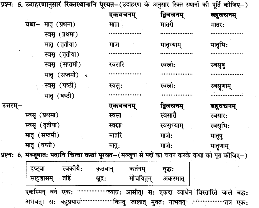 NCERT Solutions for Class 8th Sanskrit Chapter 5 धर्मे धमनं पापे पुण्यम 4