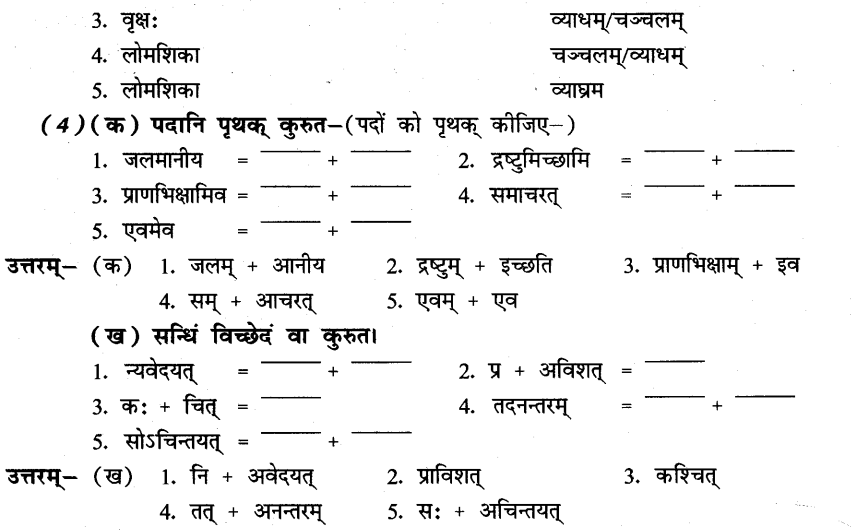 NCERT Solutions for Class 8th Sanskrit Chapter 5 धर्मे धमनं पापे पुण्यम 9