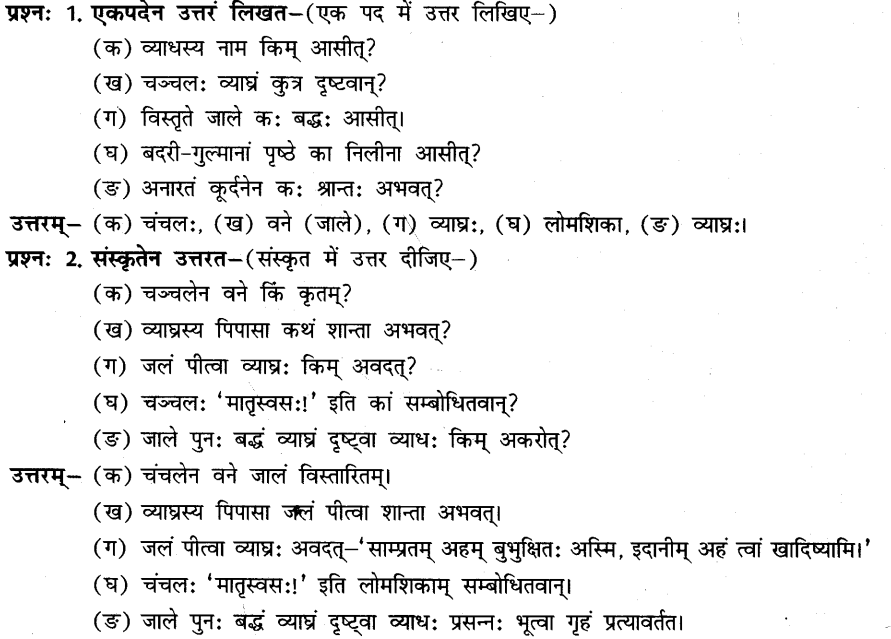 NCERT Solutions for Class 8th Sanskrit Chapter 5 धर्मे धमनं पापे पुण्यम 1