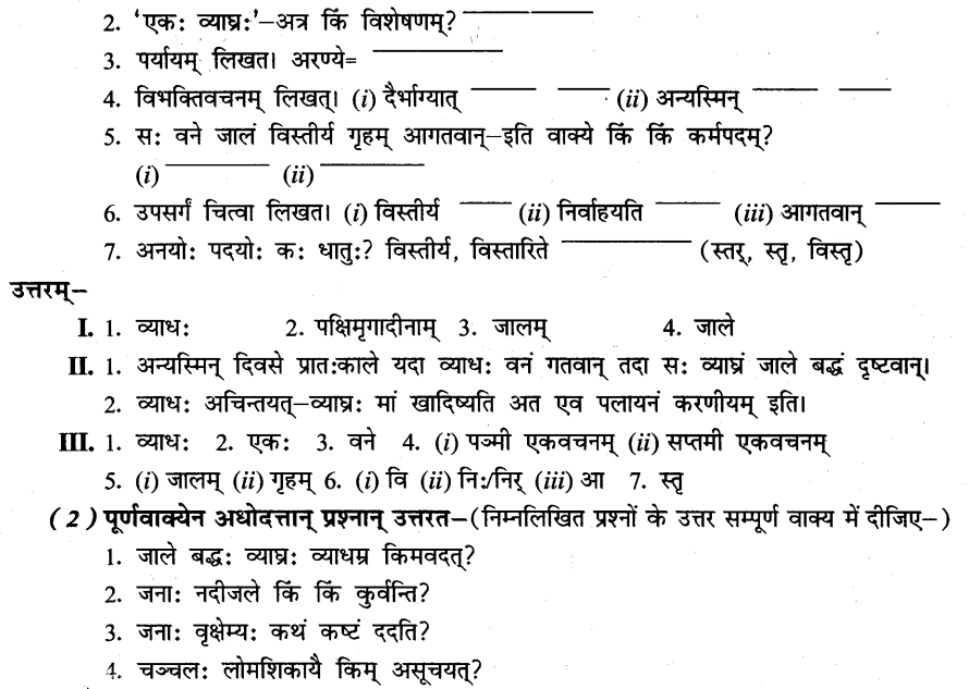 NCERT Solutions for Class 8th Sanskrit Chapter 5 धर्मे धमनं पापे पुण्यम 7