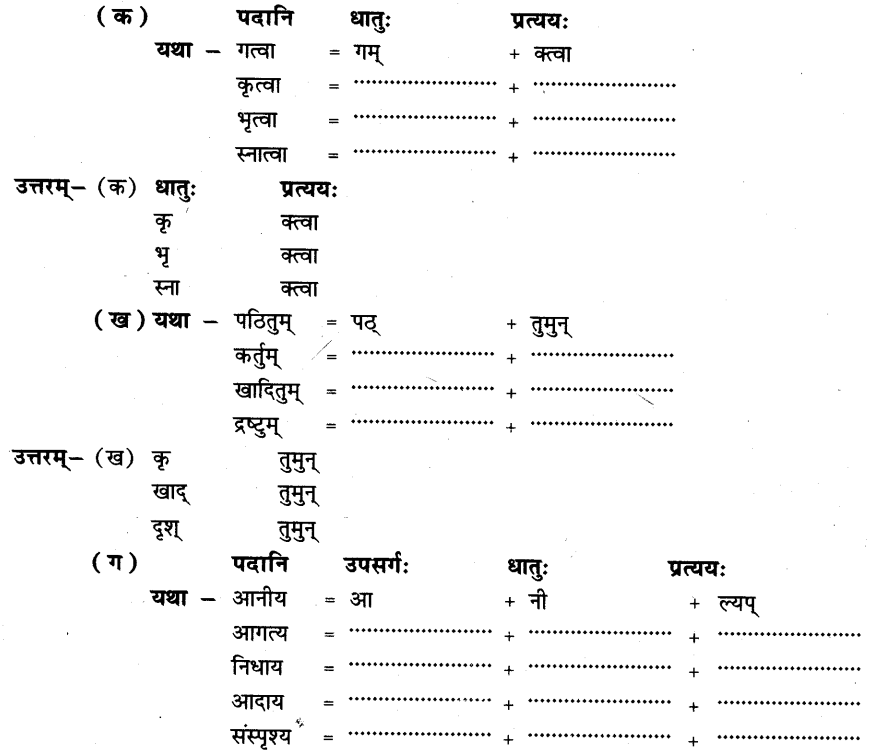 NCERT Solutions for Class 8th Sanskrit Chapter 6 प्रेमलस्य प्रेमल्याश्च कथा 2