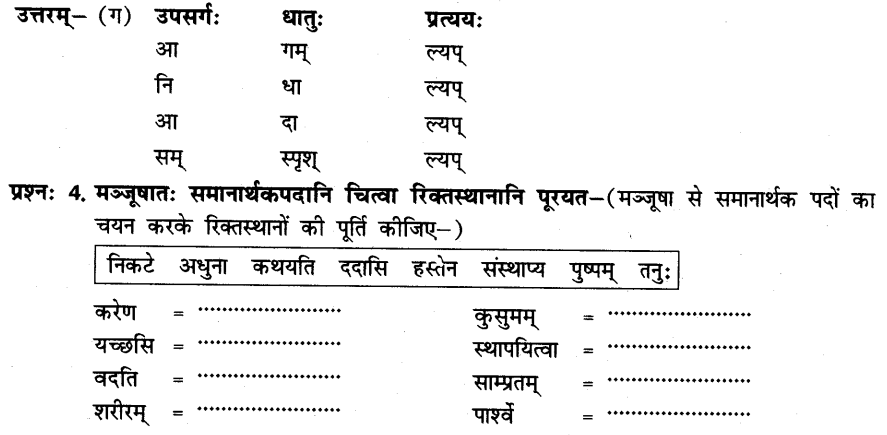 NCERT Solutions for Class 8th Sanskrit Chapter 6 प्रेमलस्य प्रेमल्याश्च कथा 3