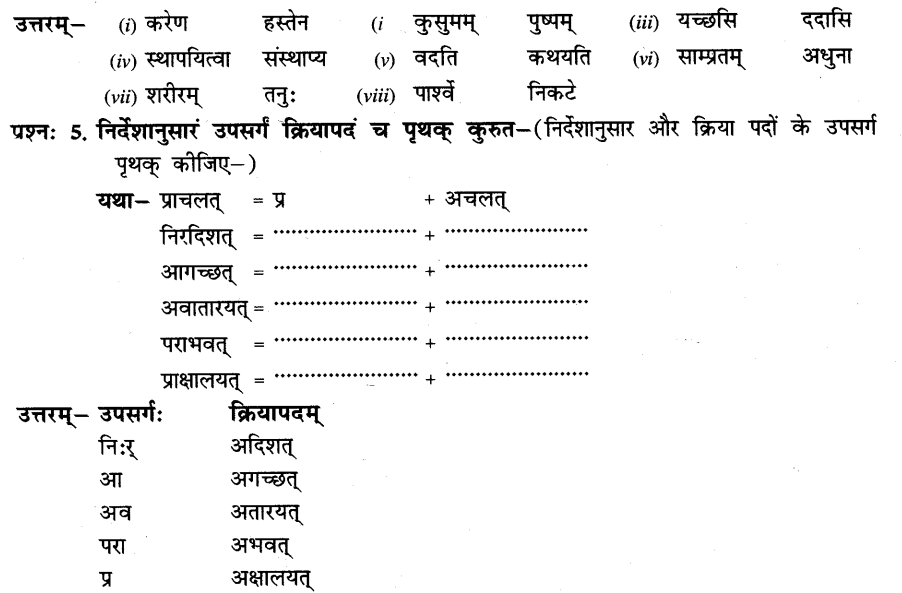 NCERT Solutions for Class 8th Sanskrit Chapter 6 प्रेमलस्य प्रेमल्याश्च कथा 4