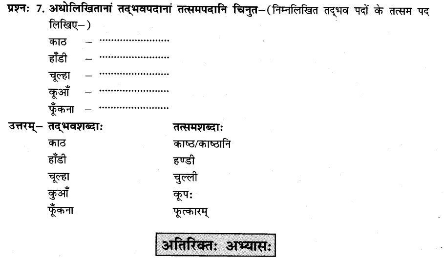 NCERT Solutions for Class 8th Sanskrit Chapter 6 प्रेमलस्य प्रेमल्याश्च कथा 6