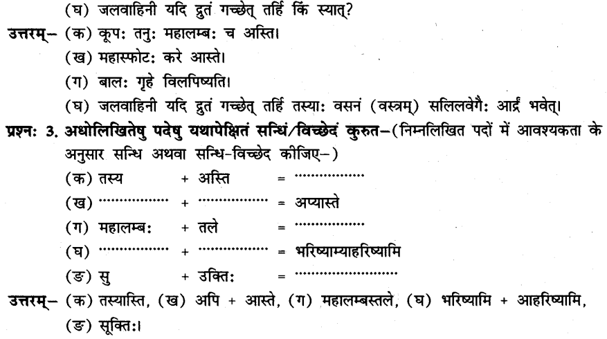 NCERT Solutions for Class 8th Sanskrit Chapter 7 जलवाहिनी 2