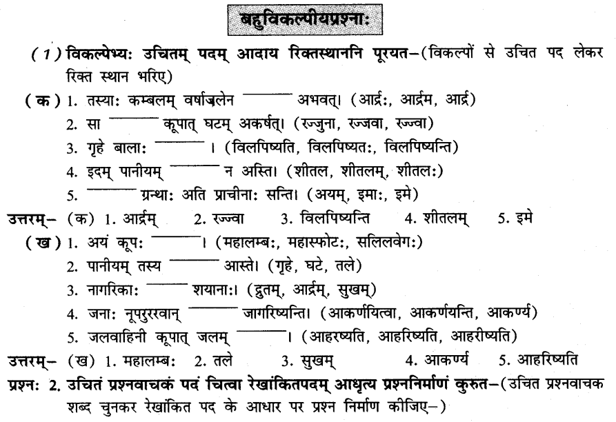 NCERT Solutions for Class 8th Sanskrit Chapter 7 जलवाहिनी 11