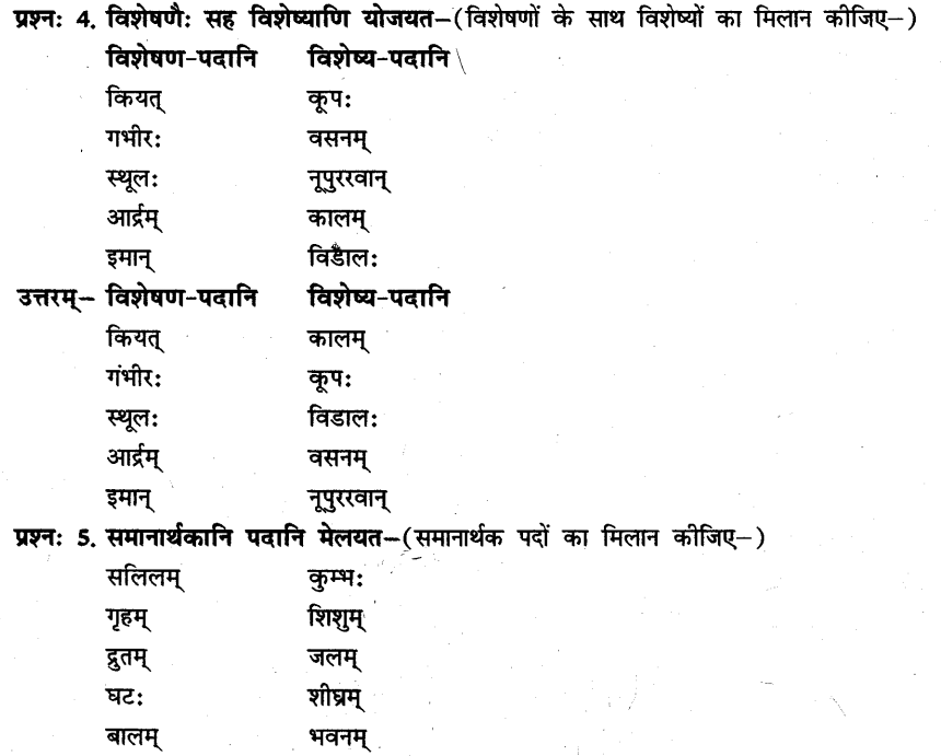 NCERT Solutions for Class 8th Sanskrit Chapter 7 जलवाहिनी 3