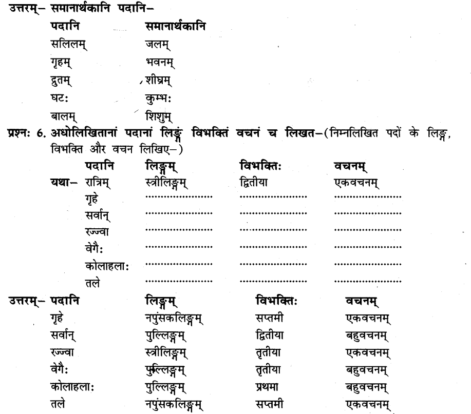 NCERT Solutions for Class 8th Sanskrit Chapter 7 जलवाहिनी 4