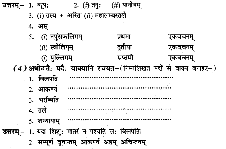 NCERT Solutions for Class 8th Sanskrit Chapter 7 जलवाहिनी 9