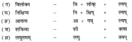 NCERT Solutions for Class 9 Sanskrit Shemushi Chapter 2 स्वर्णकाकः 3