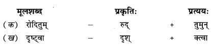 NCERT Solutions for Class 9 Sanskrit Shemushi Chapter 2 स्वर्णकाकः 2