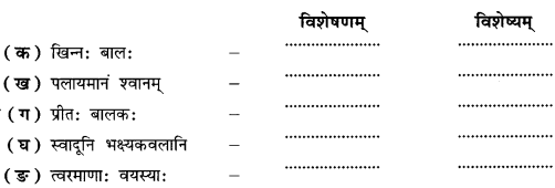 NCERT Solutions for Class 9 Sanskrit Shemushi Chapter 6 भ्रान्तो बालः 1
