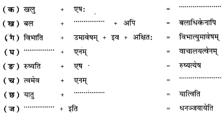 NCERT Solutions for Class 9 Sanskrit Shemushi Chapter 7 प्रत्यभिज्ञानम् 1