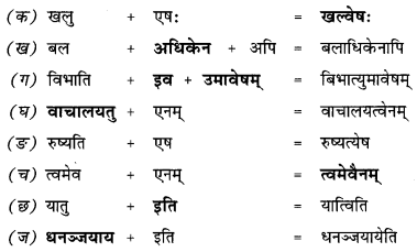 NCERT Solutions for Class 9 Sanskrit Shemushi Chapter 7 प्रत्यभिज्ञानम् 2