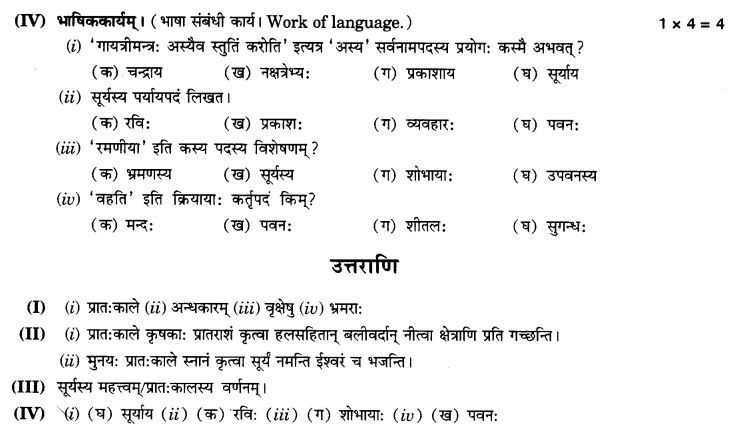 NCERT Solutions for Class 9th Sanskrit Chapter 1 अपठित - अवबोधनम् 10