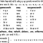 NCERT Solutions for Class 9th Sanskrit Chapter 1 संस्कृतवर्णमाला उच्चारणस्थानानि च 10