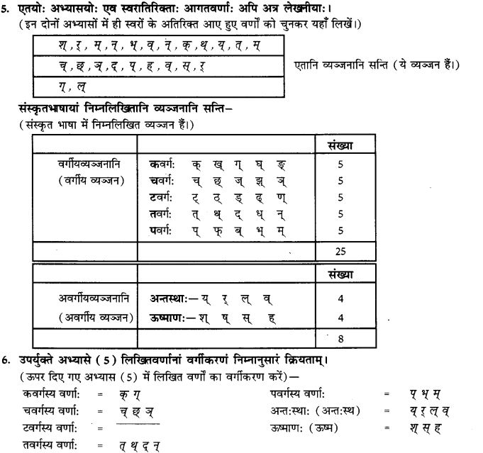 NCERT Solutions for Class 9th Sanskrit Chapter 1 संस्कृतवर्णमाला उच्चारणस्थानानि च 6