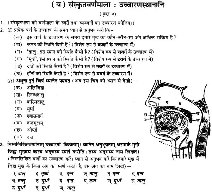 NCERT Solutions for Class 9th Sanskrit Chapter 1 संस्कृतवर्णमाला उच्चारणस्थानानि च 7